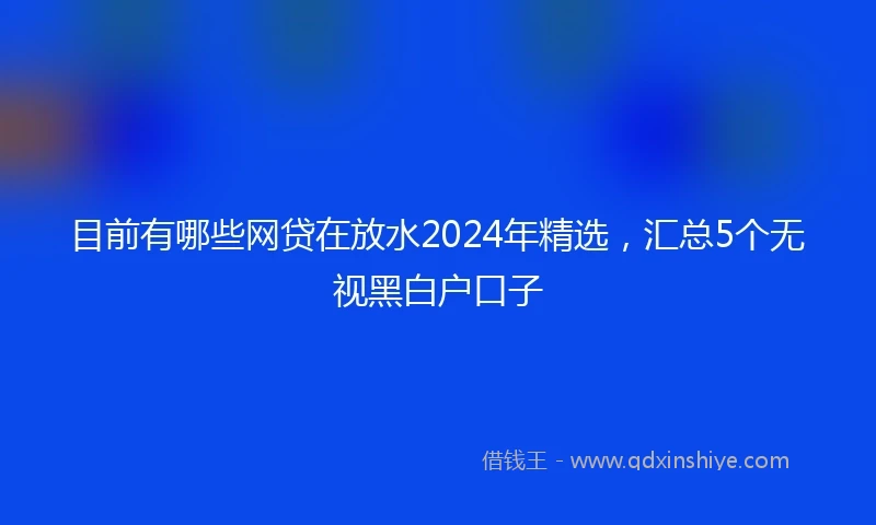 目前有哪些网贷在放水2024年精选，汇总5个无视黑白户口子