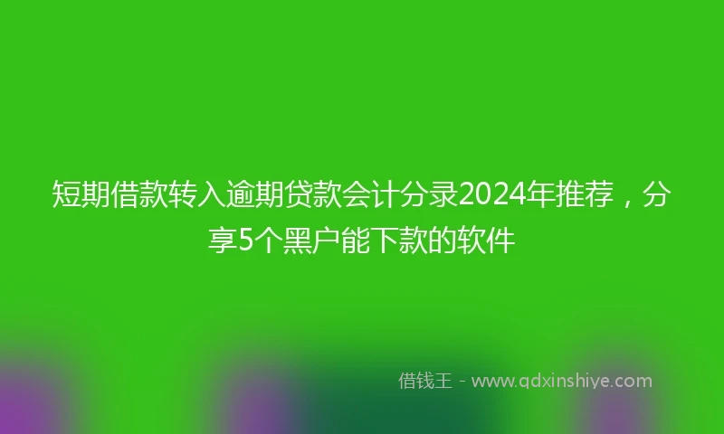 短期借款转入逾期贷款会计分录2024年推荐，分享5个黑户能下款的软件