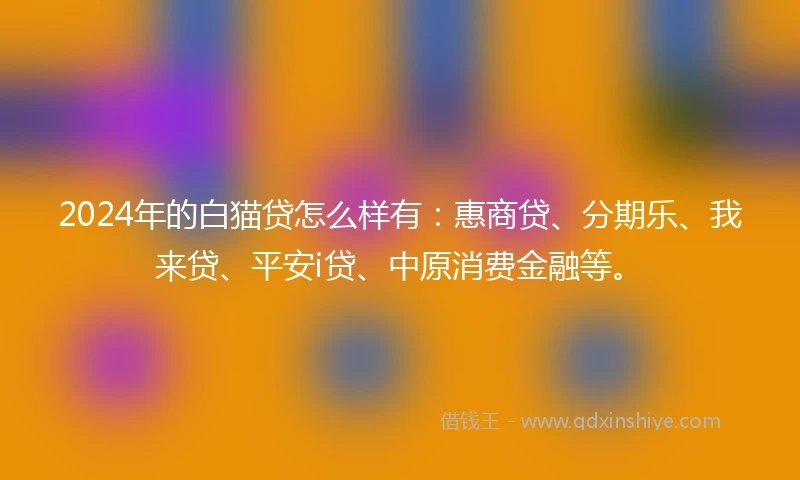 2024年的白猫贷怎么样有：惠商贷、分期乐、我来贷、平安i贷、中原消费金融等。