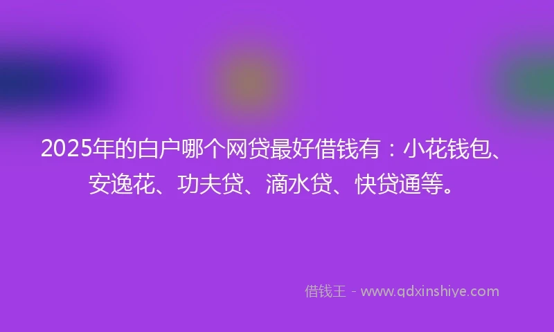 2025年的白户哪个网贷最好借钱有：小花钱包、安逸花、功夫贷、滴水贷、快贷通等。