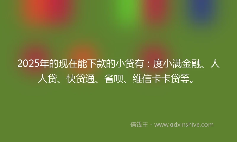 2025年的现在能下款的小贷有：度小满金融、人人贷、快贷通、省呗、维信卡卡贷等。