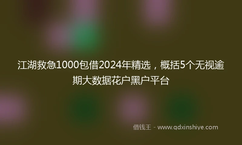 江湖救急1000包借2024年精选，概括5个无视逾期大数据花户黑户平台