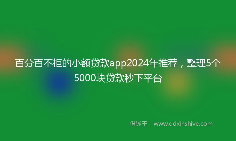 百分百不拒的小额贷款app2024年推荐，整理5个5000块贷款秒下平台