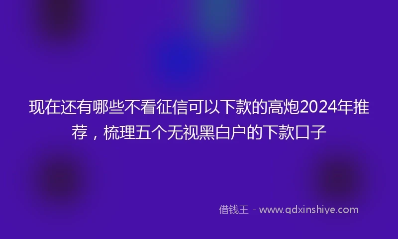 现在还有哪些不看征信可以下款的高炮2024年推荐，梳理五个无视黑白户的下款口子