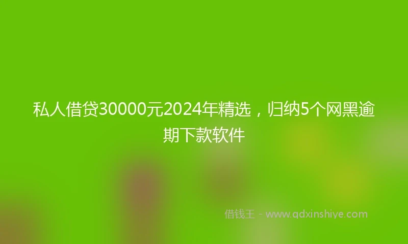 私人借贷30000元2024年精选，归纳5个网黑逾期下款软件