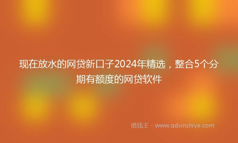 现在放水的网贷新口子2024年精选，整合5个分期有额度的网贷软件