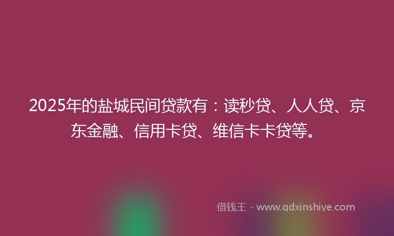2025年的盐城民间贷款有：读秒贷、人人贷、京东金融、信用卡贷、维信卡卡贷等。