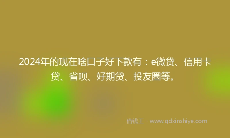 2024年的现在啥口子好下款有:e微贷、信用卡贷、省呗、好期贷、投友圈等。