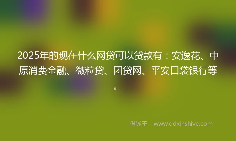 2025年的现在什么网贷可以贷款有：安逸花、中原消费金融、微粒贷、团贷网、平安口袋银行等。