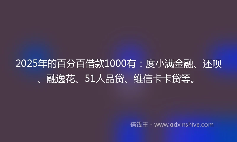 2025年的百分百借款1000有：度小满金融、还呗、融逸花、51人品贷、维信卡卡贷等。