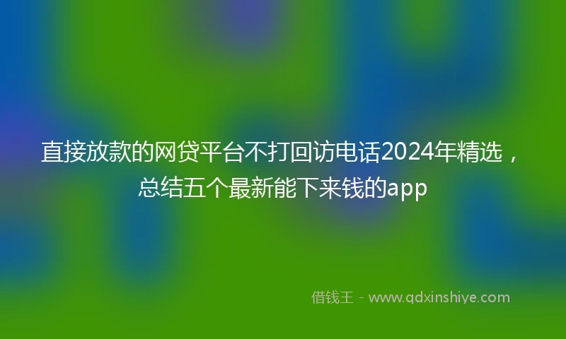 直接放款的网贷平台不打回访电话2024年精选，总结五个最新能下来钱的app