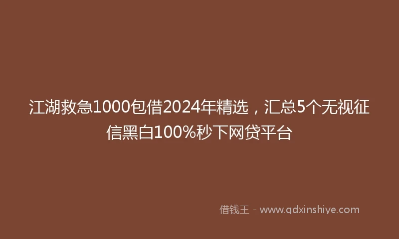 江湖救急1000包借2024年精选，汇总5个无视征信黑白100%秒下网贷平台
