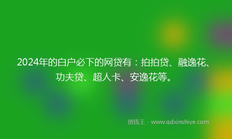 2024年的白户必下的网贷有：拍拍贷、融逸花、功夫贷、超人卡、安逸花等。