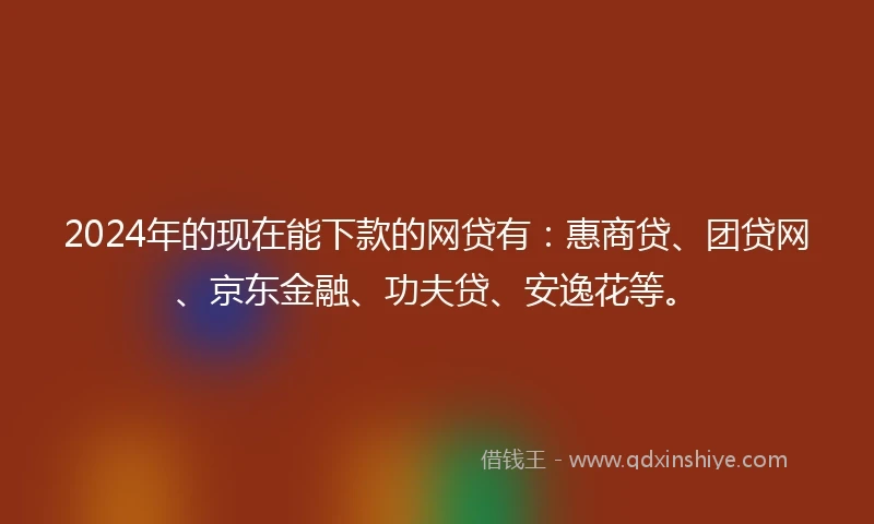 2024年的现在能下款的网贷有：惠商贷、团贷网、京东金融、功夫贷、安逸花等。