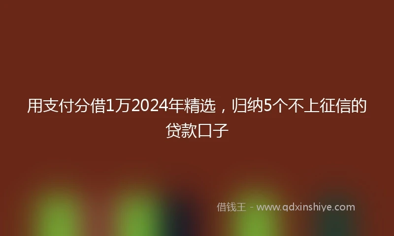 用支付分借1万2024年精选，归纳5个不上征信的贷款口子