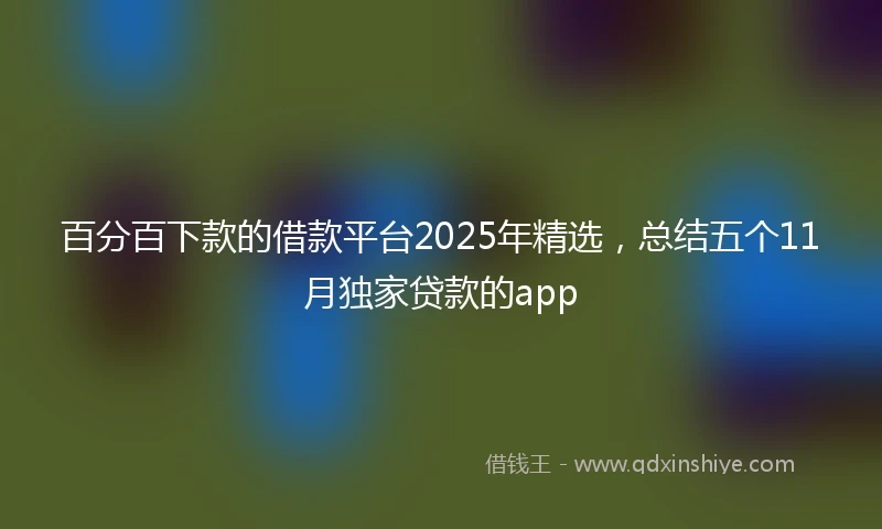 百分百下款的借款平台2025年精选，总结五个11月独家贷款的app