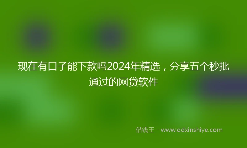 现在有口子能下款吗2024年精选，分享五个秒批通过的网贷软件
