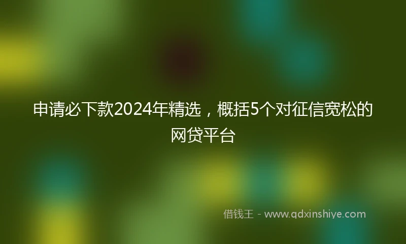 申请必下款2024年精选，概括5个对征信宽松的网贷平台