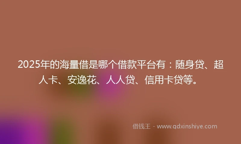 2025年的海量借是哪个借款平台有：随身贷、超人卡、安逸花、人人贷、信用卡贷等。