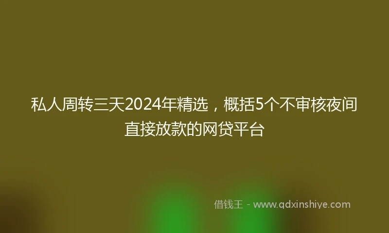私人周转三天2024年精选，概括5个不审核夜间直接放款的网贷平台