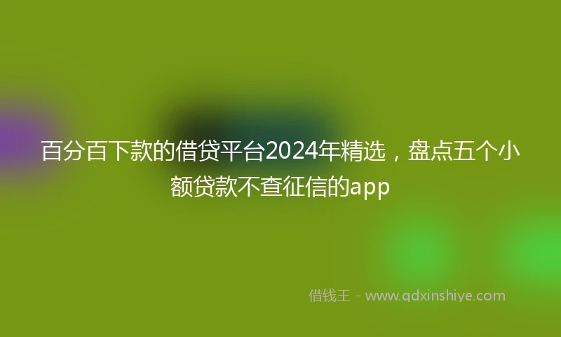百分百下款的借贷平台2024年精选，盘点五个小额贷款不查征信的app