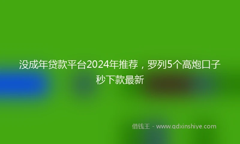 没成年贷款平台2024年推荐，罗列5个高炮口子秒下款最新