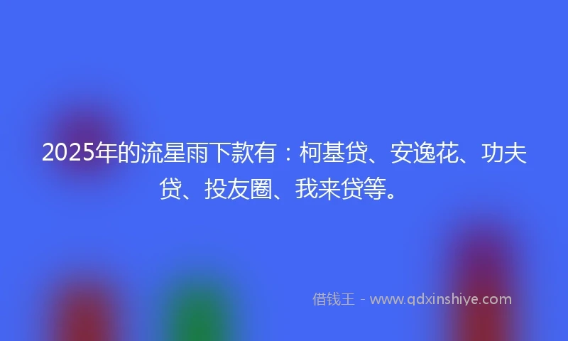 2025年的流星雨下款有：柯基贷、安逸花、功夫贷、投友圈、我来贷等。