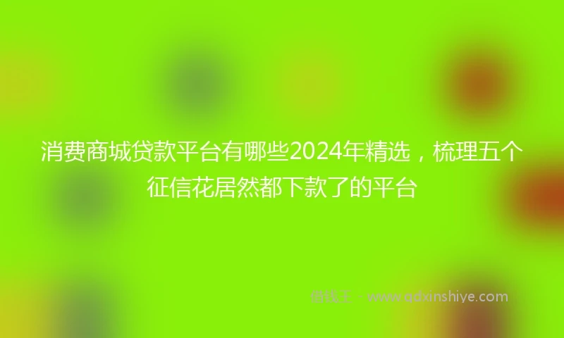 消费商城贷款平台有哪些2024年精选，梳理五个征信花居然都下款了的平台