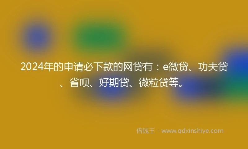 2024年的申请必下款的网贷有：e微贷、功夫贷、省呗、好期贷、微粒贷等。