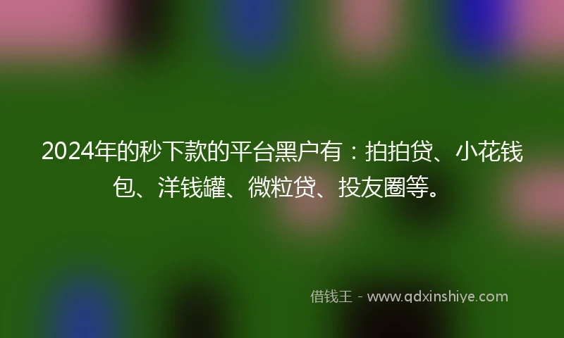 2024年的秒下款的平台黑户有：拍拍贷、小花钱包、洋钱罐、微粒贷、投友圈等。