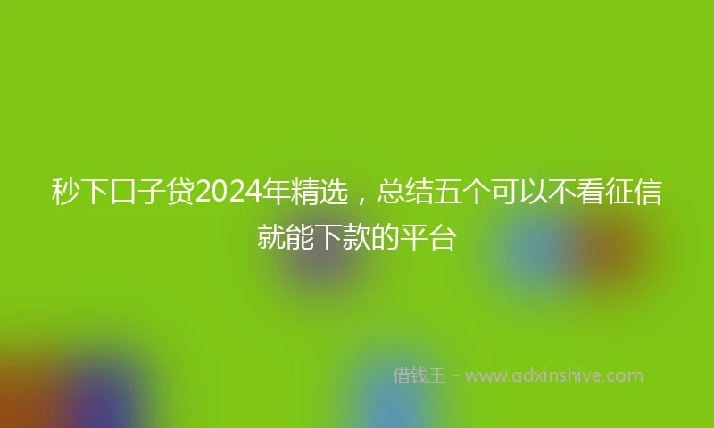 秒下口子贷2024年精选，总结五个可以不看征信就能下款的平台