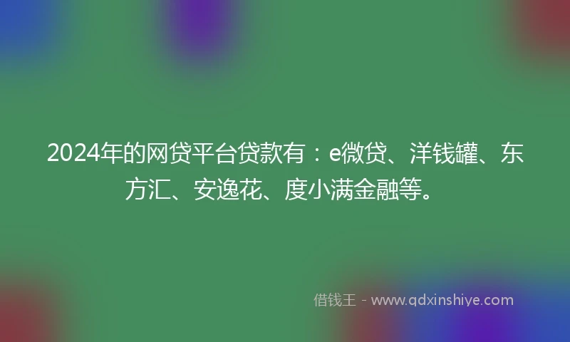 2024年的网贷平台贷款有：e微贷、洋钱罐、东方汇、安逸花、度小满金融等。