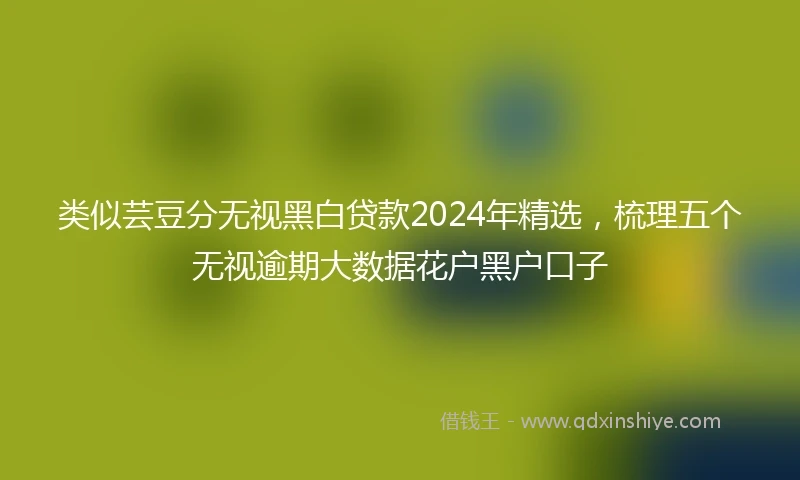 类似芸豆分无视黑白贷款2024年精选，梳理五个无视逾期大数据花户黑户口子