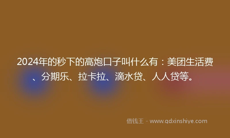 2024年的秒下的高炮口子叫什么有：美团生活费、分期乐、拉卡拉、滴水贷、人人贷等。