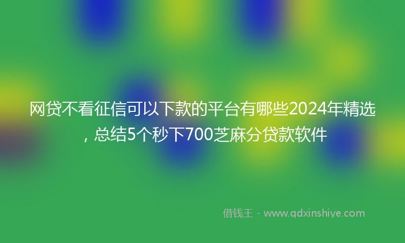 网贷不看征信可以下款的平台有哪些2024年精选，总结5个秒下700芝麻分贷款软件