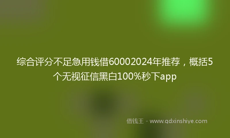 综合评分不足急用钱借60002024年推荐，概括5个无视征信黑白100%秒下app