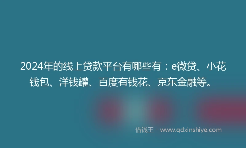 2024年的线上贷款平台有哪些有：e微贷、小花钱包、洋钱罐、百度有钱花、京东金融等。