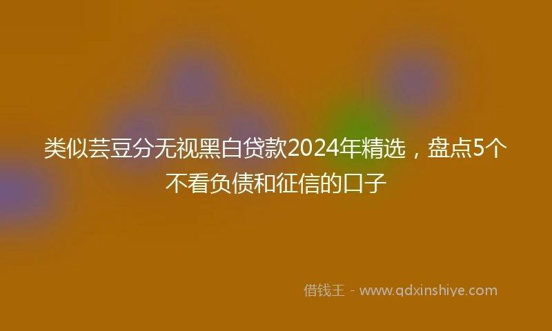 类似芸豆分无视黑白贷款2024年精选，盘点5个不看负债和征信的口子