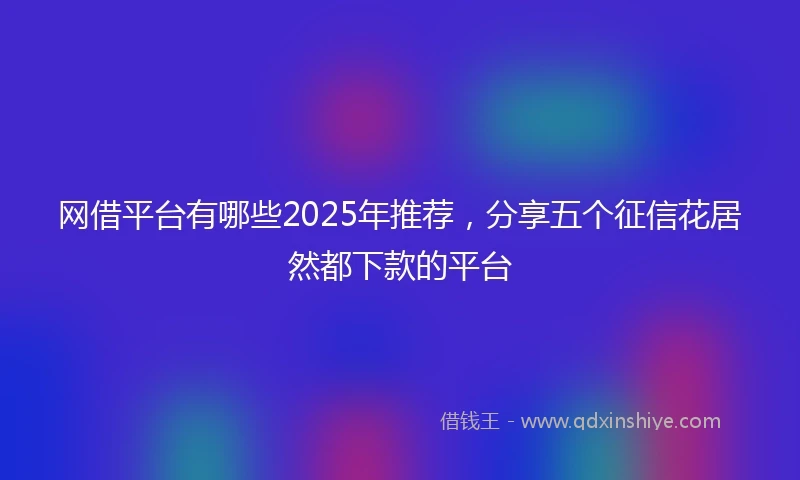 网借平台有哪些2025年推荐，分享五个征信花居然都下款的平台