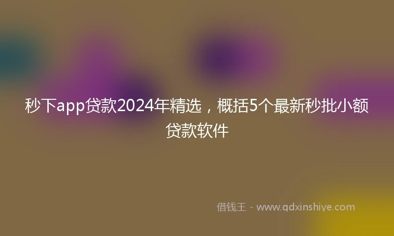 秒下app贷款2024年精选，概括5个最新秒批小额贷款软件
