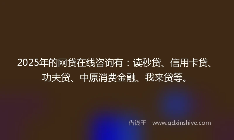 2025年的网贷在线咨询有：读秒贷、信用卡贷、功夫贷、中原消费金融、我来贷等。