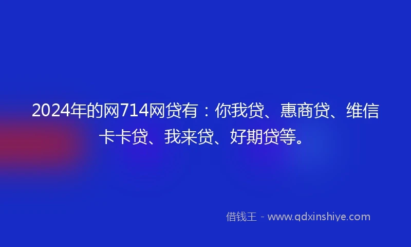 2024年的网714网贷有：你我贷、惠商贷、维信卡卡贷、我来贷、好期贷等。