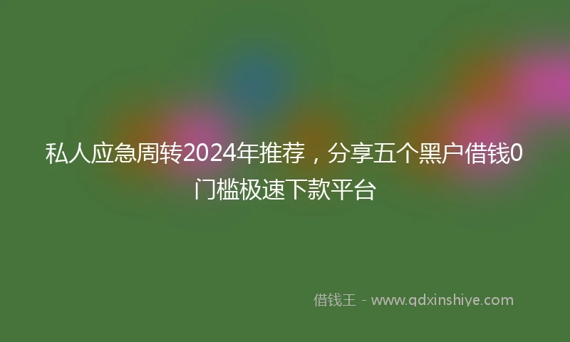 私人应急周转2024年推荐，分享五个黑户借钱0门槛极速下款平台