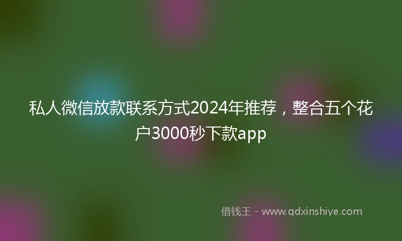 私人微信放款联系方式2024年推荐，整合五个花户3000秒下款app