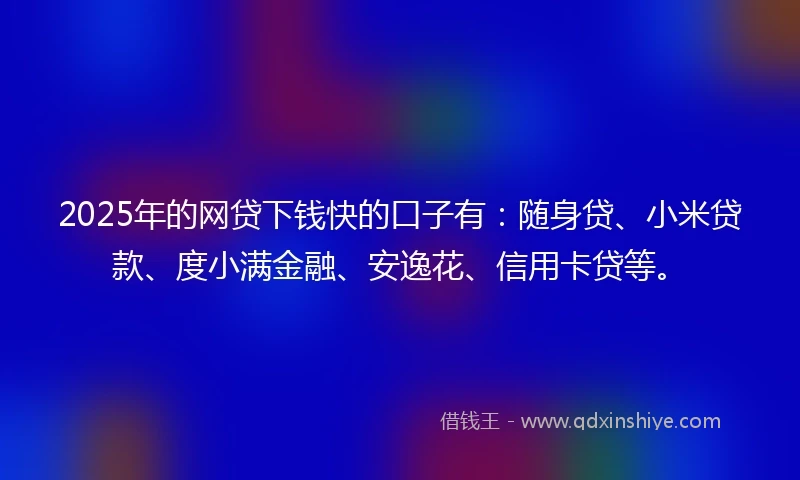 2025年的网贷下钱快的口子有：随身贷、小米贷款、度小满金融、安逸花、信用卡贷等。