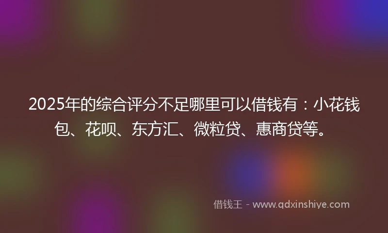 2025年的综合评分不足哪里可以借钱有：小花钱包、花呗、东方汇、微粒贷、惠商贷等。