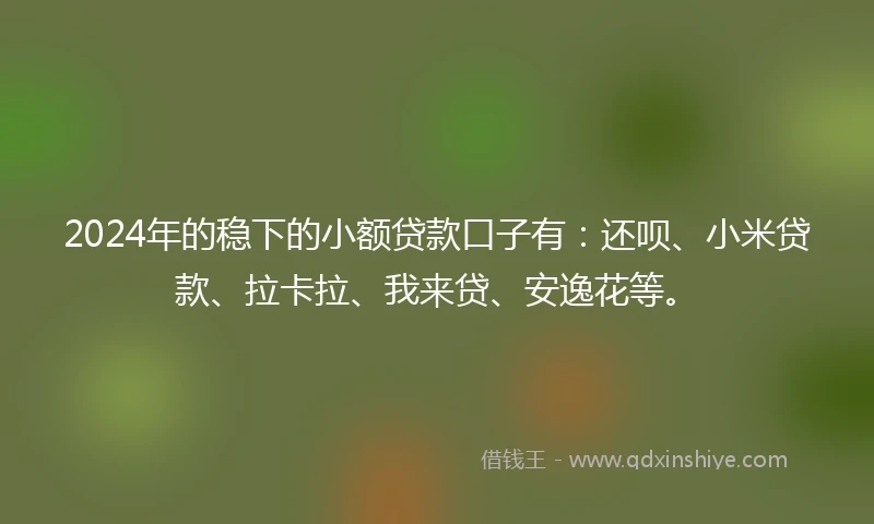 2024年的稳下的小额贷款口子有：还呗、小米贷款、拉卡拉、我来贷、安逸花等。