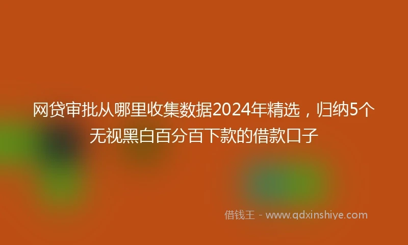 网贷审批从哪里收集数据2024年精选，归纳5个无视黑白百分百下款的借款口子