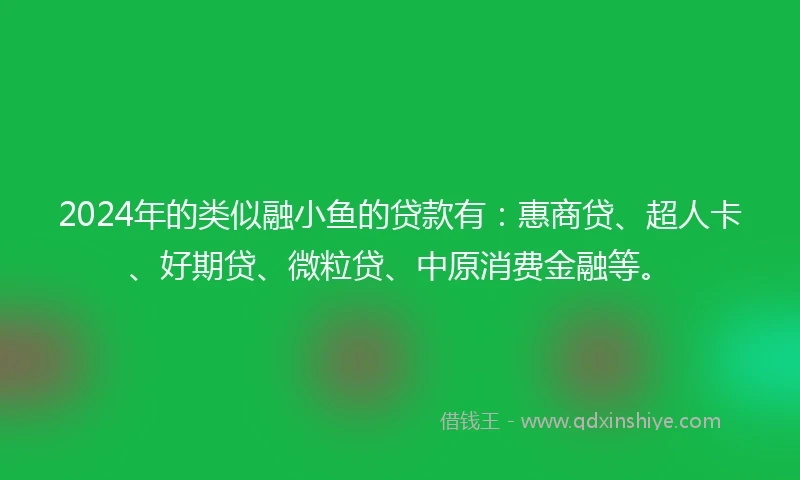 2024年的类似融小鱼的贷款有：惠商贷、超人卡、好期贷、微粒贷、中原消费金融等。