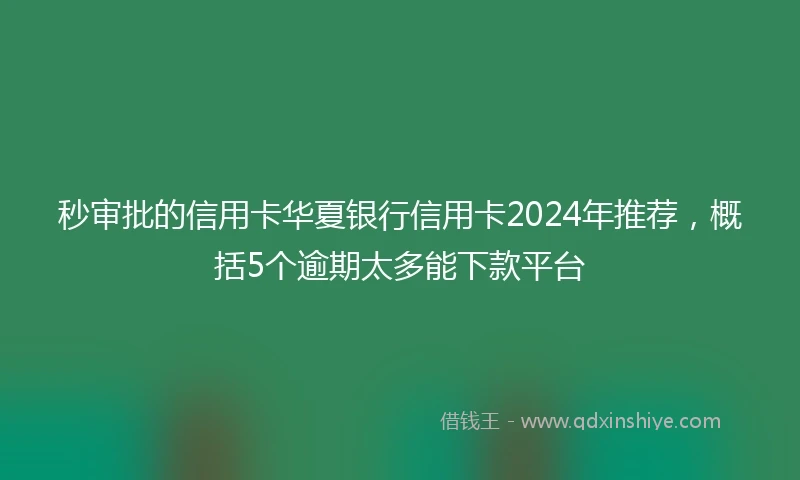 秒审批的信用卡华夏银行信用卡2024年推荐，概括5个逾期太多能下款平台